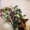 Cat smelling colorful amazing wildflowers in vase on background