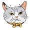 Cat smirk. Feline grin. Cat drawing. Portrait of cat with bow tie