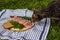 Cat sniffing ham on a wooden plate