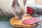 Cat sniffs pieces of smoked sausage, sliced on a wooden cutting board.