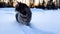 Cat in the snow. Gray striped cat walks in snow in winter in snowdrift. Sunset in background