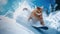 Cat snowboarder going down ski slope in winter, funny ginger pet rides snowboard spraying snow powder. Concept of sport, resort,