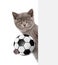 Cat with soccer ball peeking above white banner. Isolated on white background