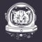 Cat in a space helmet. Astronaut. Portrait of a cat.