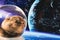 A cat in a spacesuit in outer space.