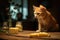 cat stalking mouse near cheese on table