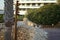 A cat on a stone fence in a park recreation area. Marfa, Mellieha, Malta