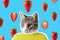 Cat and strawberry collage, pop art concept design. Minimal vibrant summer background