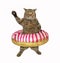 Cat with striped donut on its waist