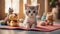 cat and stuffed animals A comical kitten a tiny a yoga class for a group of stuffed animals