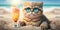 Cat is on summer vacation at seaside resort and relaxing rest on summer beach of Hawaii