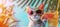 Cat in sunglasses with cocktail, tropical blurred backdrop. Stylish feline with soft drink. Banner. Copy space. Concept