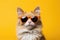 Cat With Sunglasses Dark Yellow Background