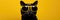 Cat With Sunglasses Dark Yellow Background Cats And Sunglasses, Dark Yellow Colour, The Power Of Vis