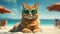 Cat in sunglasses sunbathing on the beach. Generative AI technology