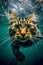Cat Swimming Under Water Studio Shot with Flash