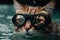 A cat swims underwater in a diving mask, generative AI.