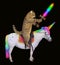 Cat with a sword rides the unicorn 2