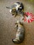 Cat tabby and her three kittens lying and sleeping on the carpet