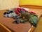 Cat tabby lying on wooden bed in pile of linen