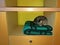Cat tabby sleeps in a closet on a green-black checkered blanket
