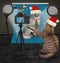 Cat takes pictures of ashen cat for Christmas