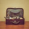 Cat of tortoiseshell color in a vintage suitcase
