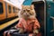 Cat travel humor Amusing concept of a cat going on vacation