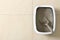 Cat tray with clumping litter and scoop on floor, top view. Space for text