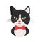 Cat tuxedo black and white cat gentleman with red bow. Kind cat head avatar or print. vector illustration isolated