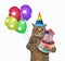Cat with two tiered cake