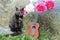 Cat with Ukulele and Peonies