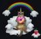 Cat unicorn with the color donut on a cloud 2