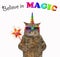 Cat unicorn with a magic wand 2