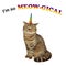 Cat unicorn is sitting