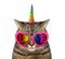 Cat unicorn wears love sunglasses