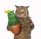 Cat with unusual cactus