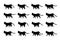 Cat walk animation. Domestic animal silhouette. Walking black kitten with yellow eyes. Side view of moving pet. Sprite