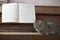 Cat Walking On Piano Keys With Music Sheet