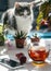 Cat walking on a table with a cup of tea strawberry flowers in pots and a smartphone.