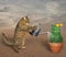 Cat watering unusual cactus 2