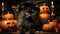 A cat wearing a hat and sitting next to pumpkins in castle