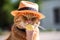 Cat wearing hat and sunglasses, eating licking an ice cream