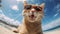 Cat wearing sunglasses and looking at camera at the beach