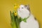 Cat on a yellow background sniffing narcissus