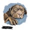 Catahoula Bulldog dog isolated hand drawn portrait. Digital art illustration of Catahoula Leopard Dog or Catahoula Cur, American