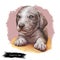 Catahoula Cur puppy isolated hand drawn portrait. Digital art illustration of Catahoula or Catahoula Cur, American dog breed.