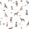 Catahoula leopard dog seamless pattern. Different poses, coat colors set