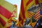 Catalan flags in 11th September demonstration in Barcelona