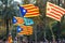 Catalan independentist flag